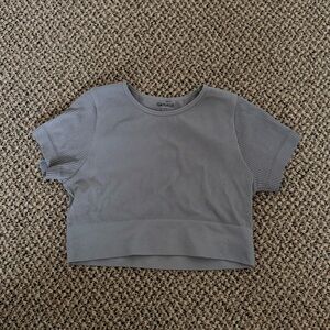 Garage Gray/Purple Short Sleeve Cropped Ribbed Tee
